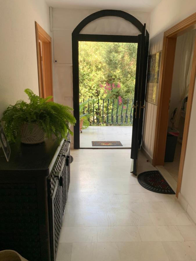 Guest House Carevic Dubrovnik Extérieur photo